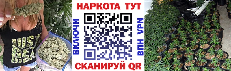 Все наркотики Приморск ГАШИШ  LSD-25  АМФ  Меф  A PVP  Кокаин  MDMA 