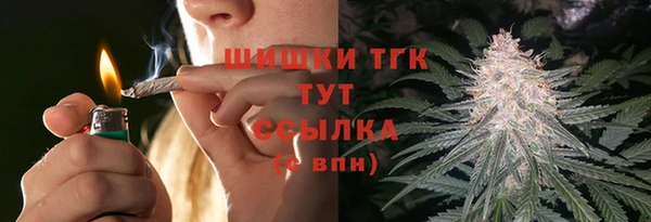 эйфоретик Баксан