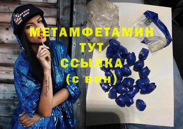 сатива Балахна