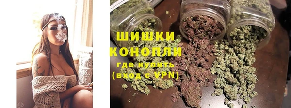 сатива Балахна