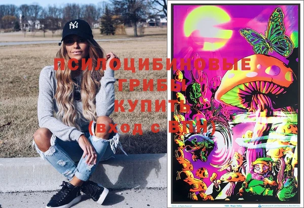сатива Балахна