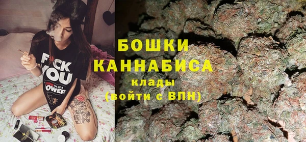 сатива Балахна