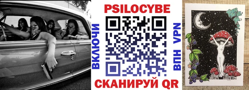 купить наркоту Приморск Галлюциногенные грибы Cubensis